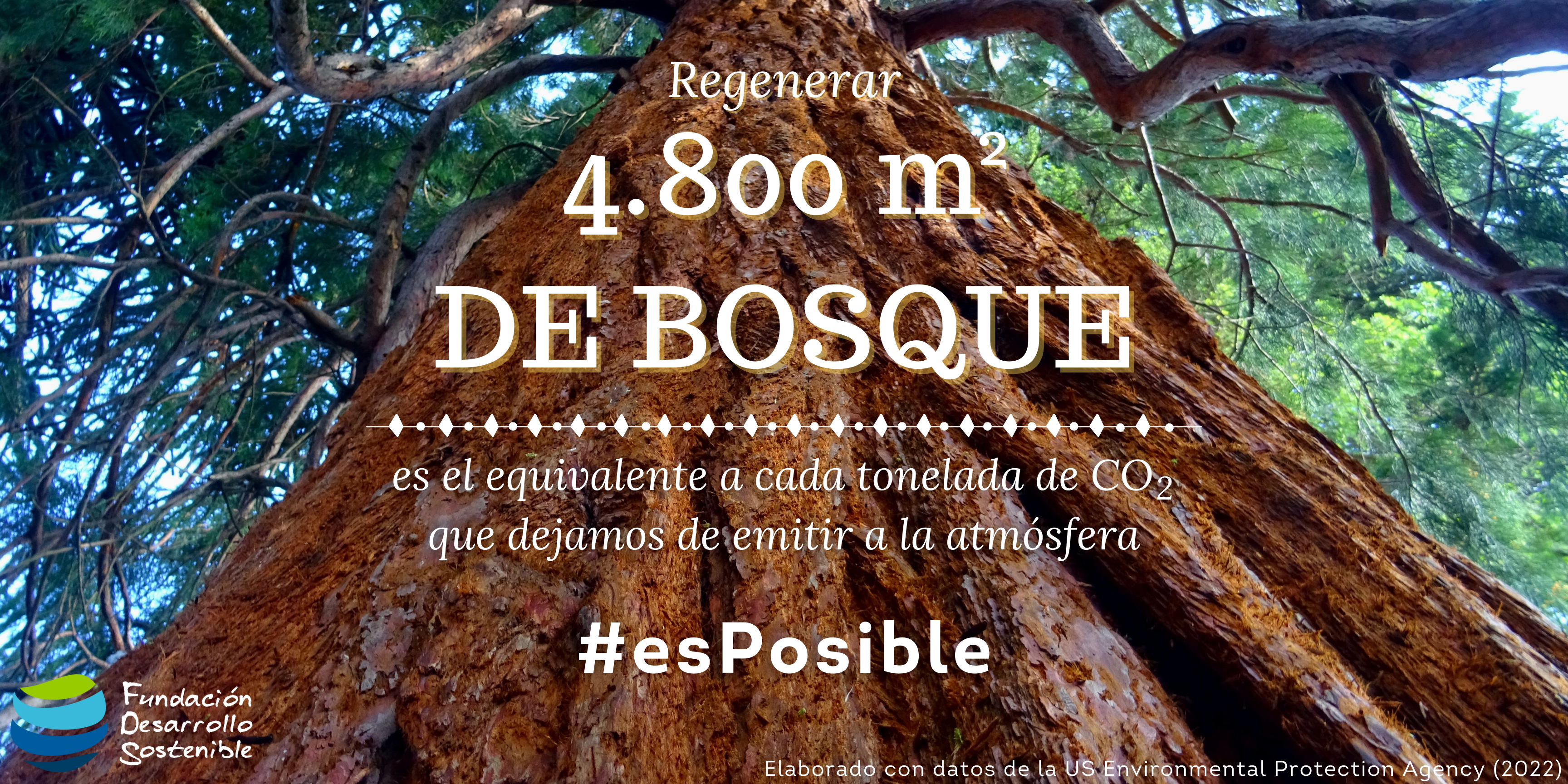 árboles h